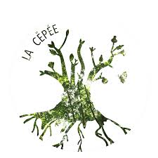 images-2