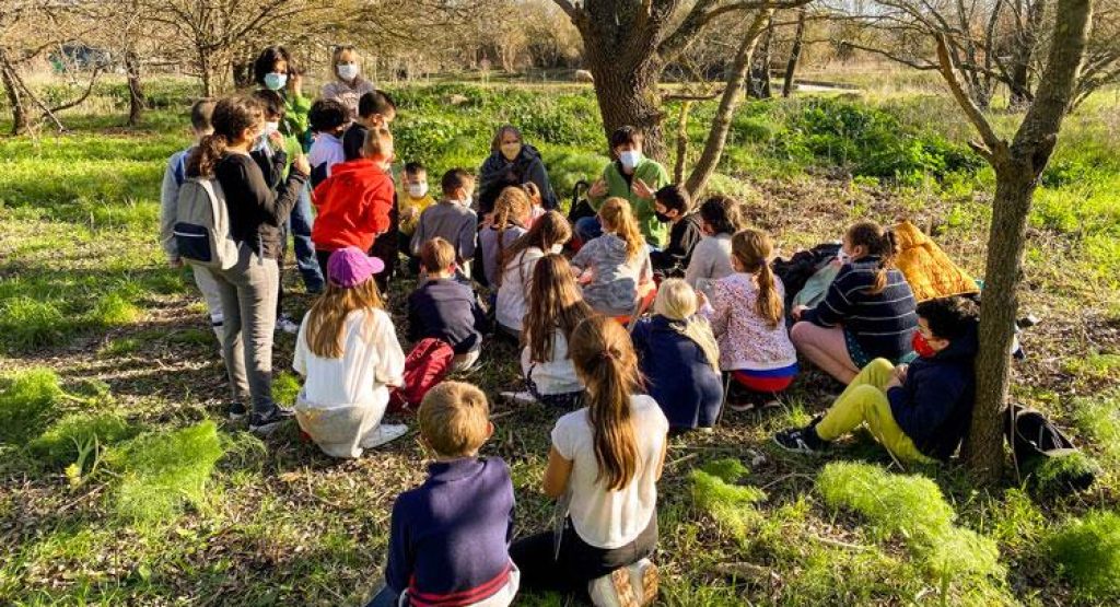 aire-terrestre-educative-zuninoii-2